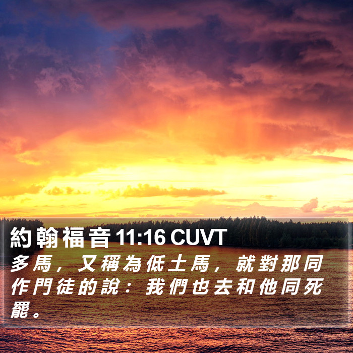 約 翰 福 音 11:16 CUVT Bible Study