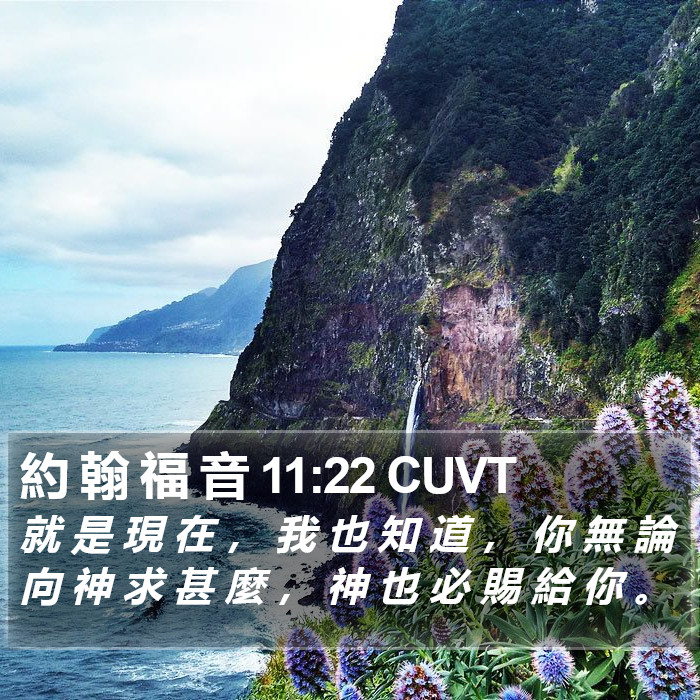 約 翰 福 音 11:22 CUVT Bible Study