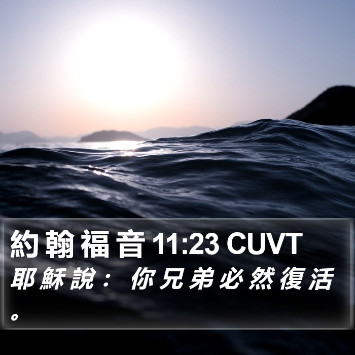 約 翰 福 音 11:23 CUVT Bible Study