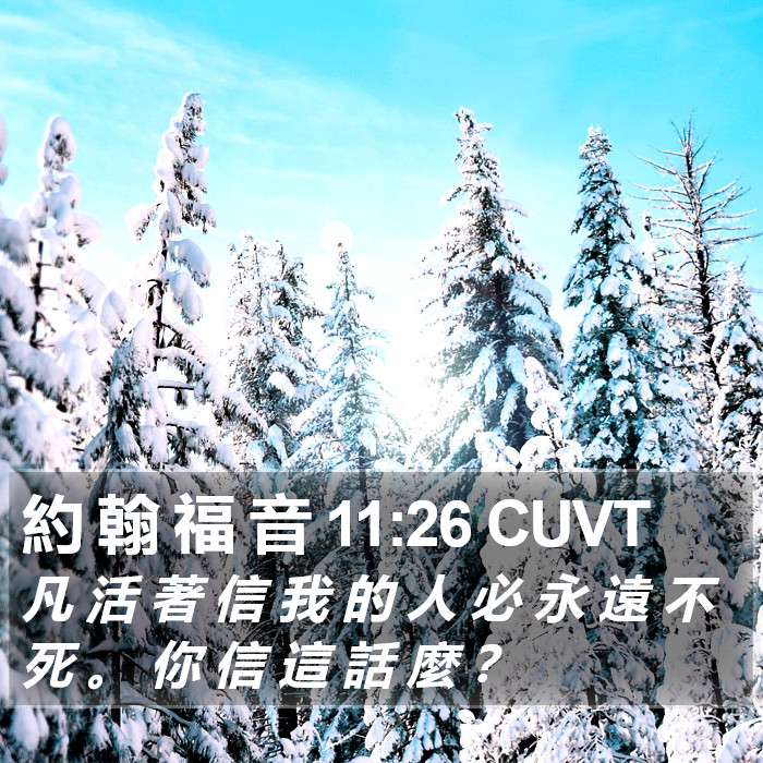 約 翰 福 音 11:26 CUVT Bible Study