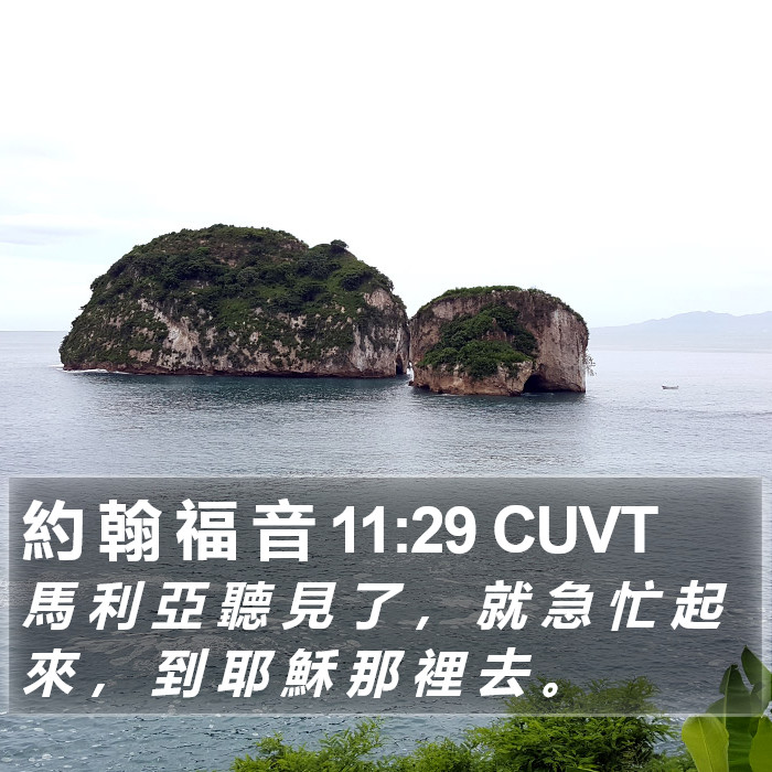 約 翰 福 音 11:29 CUVT Bible Study