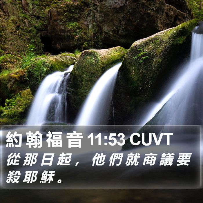 約 翰 福 音 11:53 CUVT Bible Study