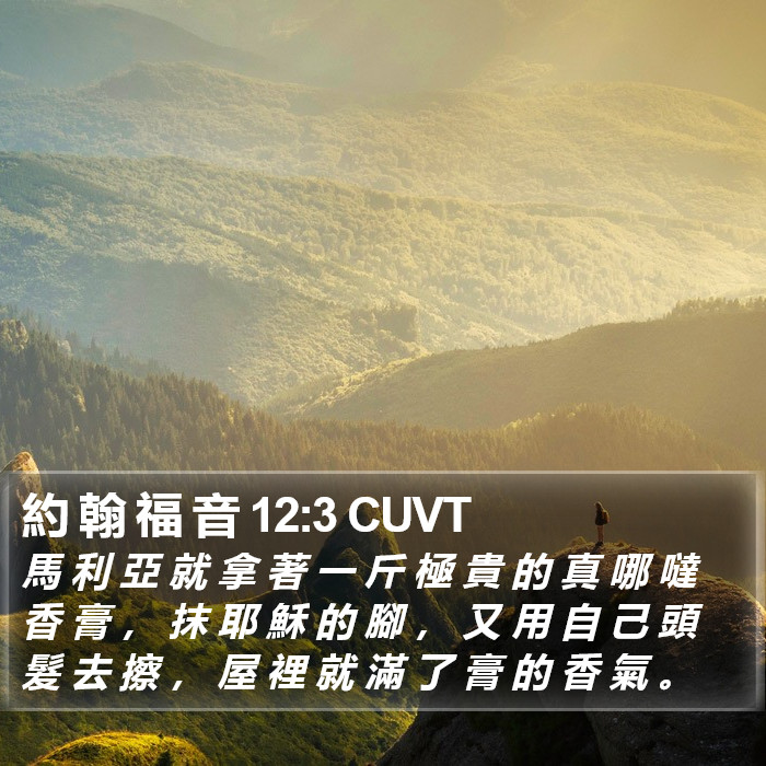 約 翰 福 音 12:3 CUVT Bible Study