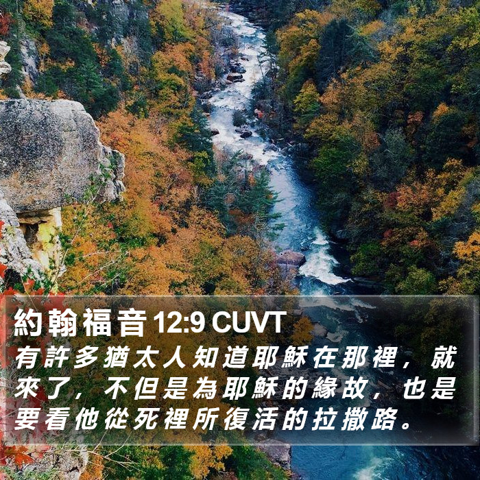 約 翰 福 音 12:9 CUVT Bible Study