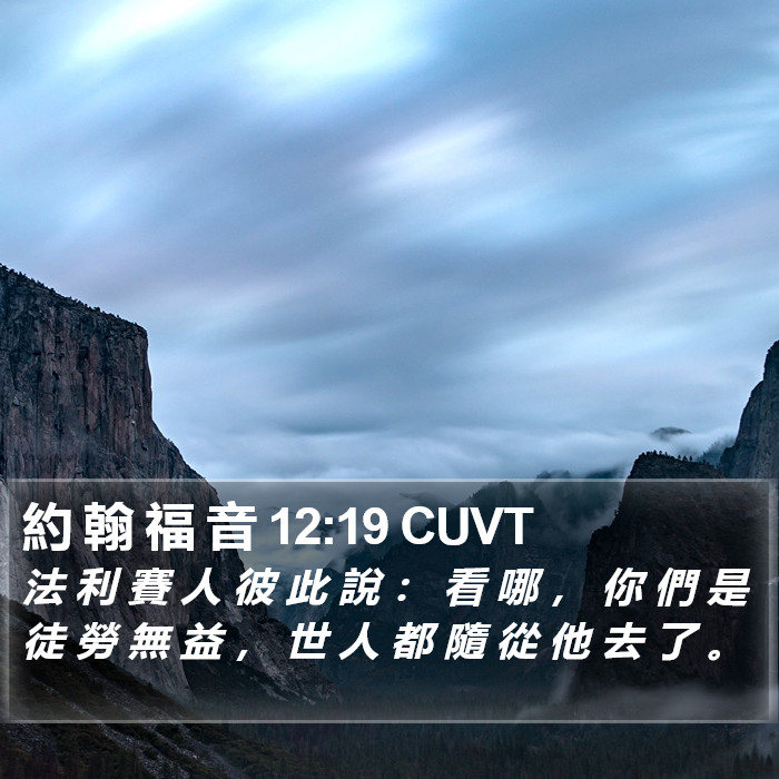 約 翰 福 音 12:19 CUVT Bible Study