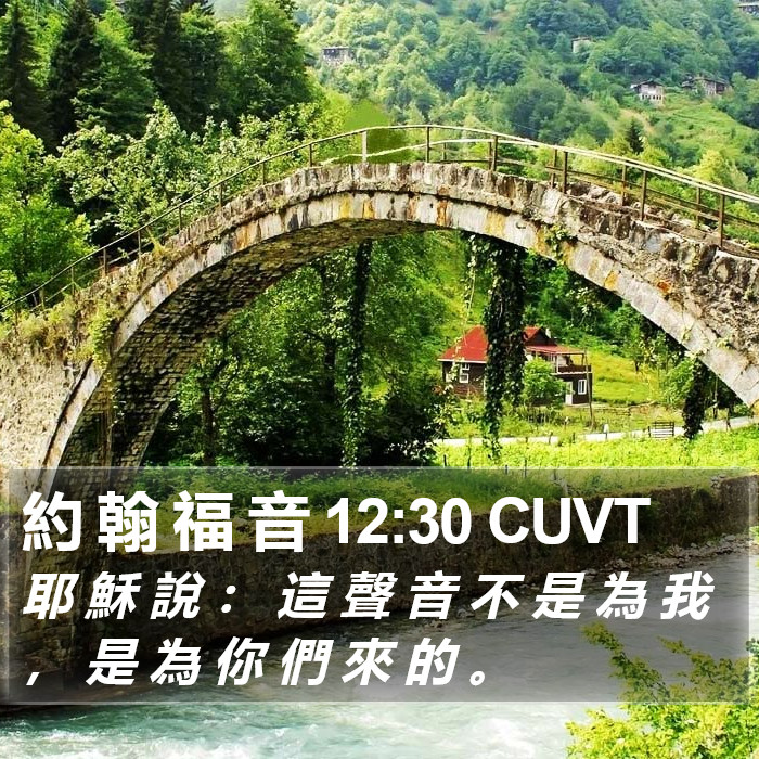 約 翰 福 音 12:30 CUVT Bible Study