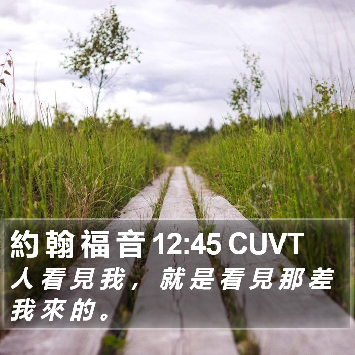 約 翰 福 音 12:45 CUVT Bible Study