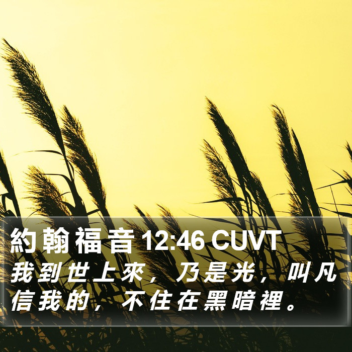 約 翰 福 音 12:46 CUVT Bible Study