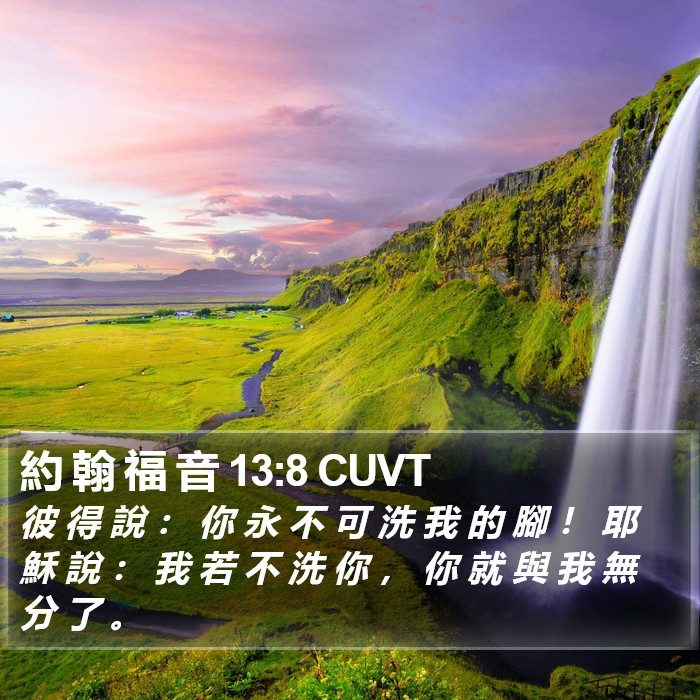 約 翰 福 音 13:8 CUVT Bible Study