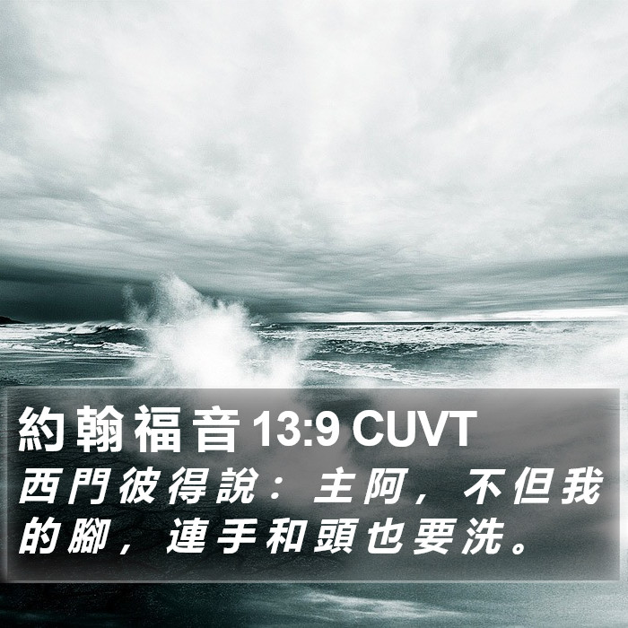 約 翰 福 音 13:9 CUVT Bible Study