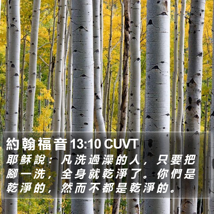 約 翰 福 音 13:10 CUVT Bible Study