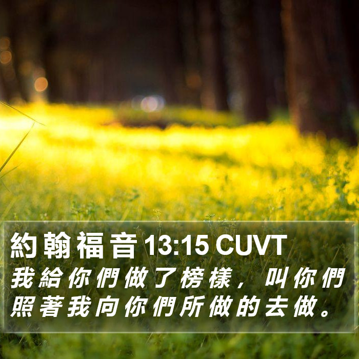 約 翰 福 音 13:15 CUVT Bible Study