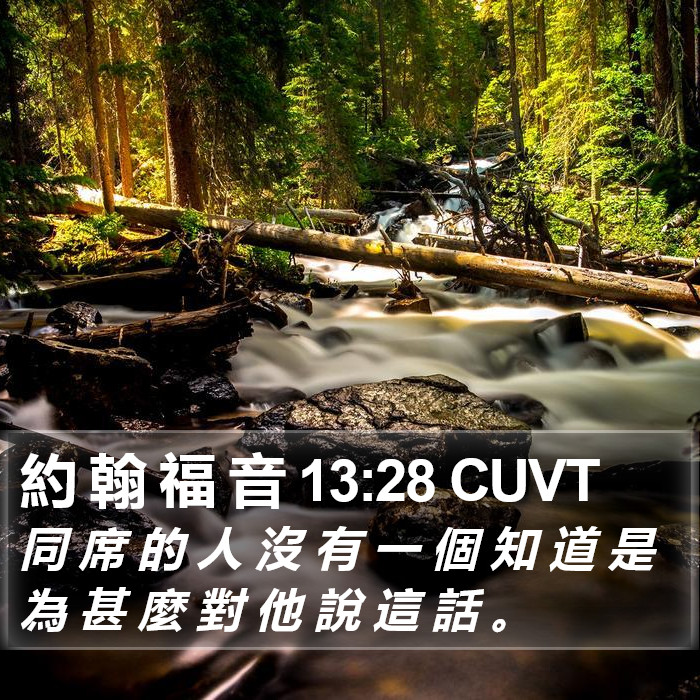 約 翰 福 音 13:28 CUVT Bible Study