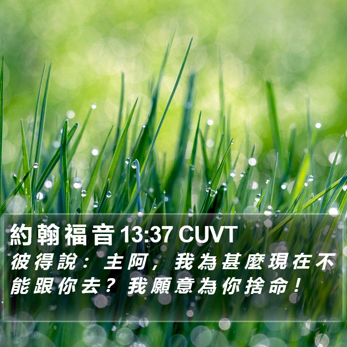 約 翰 福 音 13:37 CUVT Bible Study