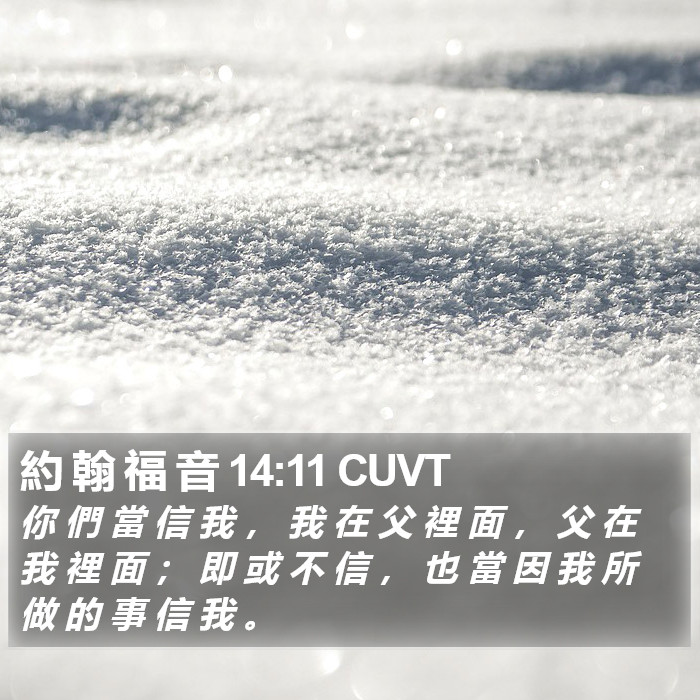 約 翰 福 音 14:11 CUVT Bible Study