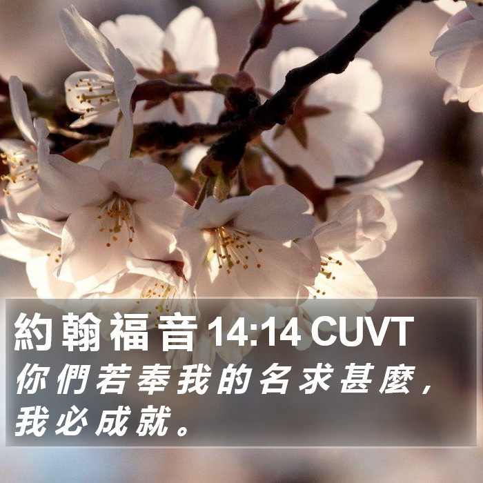 約 翰 福 音 14:14 CUVT Bible Study