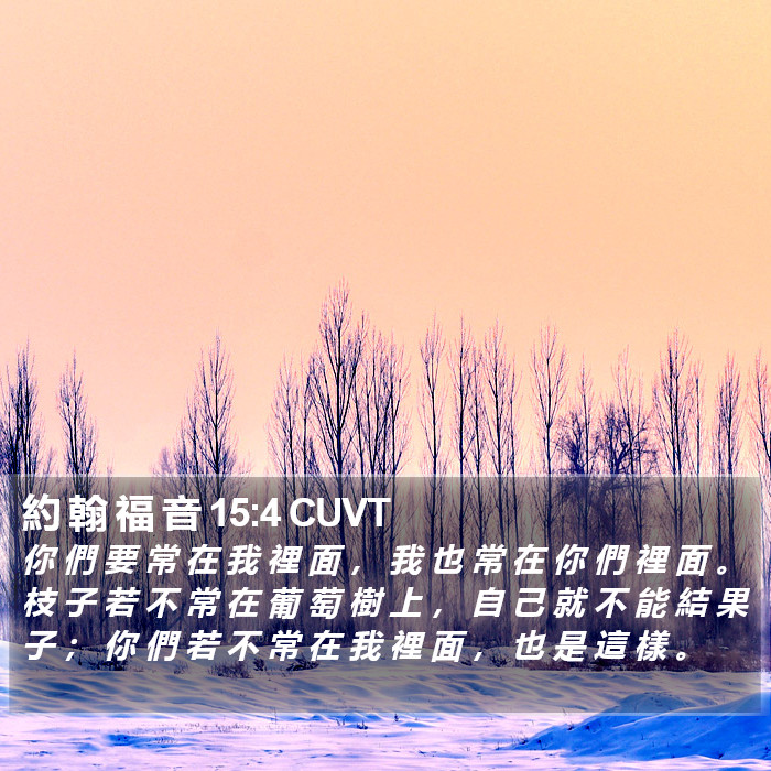 約 翰 福 音 15:4 CUVT Bible Study