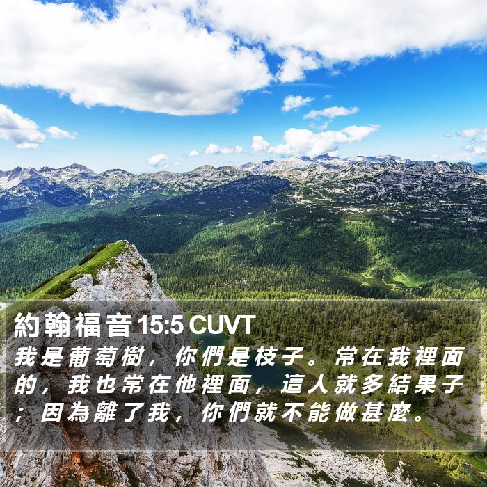 約 翰 福 音 15:5 CUVT Bible Study