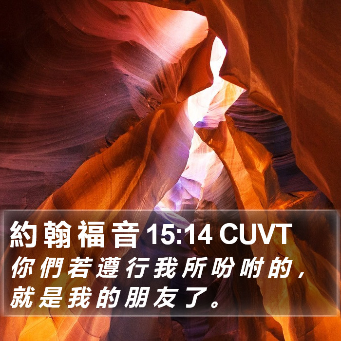 約 翰 福 音 15:14 CUVT Bible Study