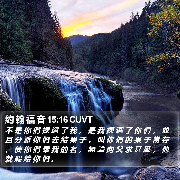 約 翰 福 音 15:16 CUVT Bible Study