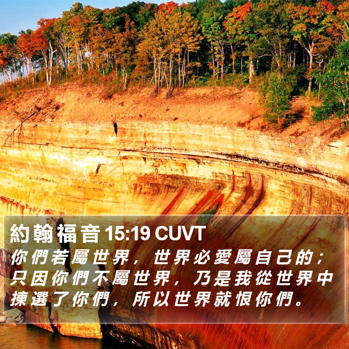 約 翰 福 音 15:19 CUVT Bible Study