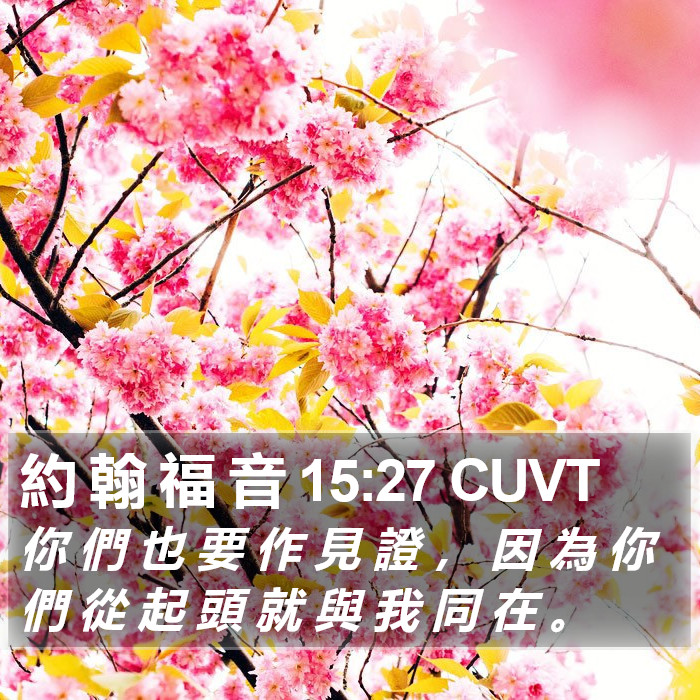 約 翰 福 音 15:27 CUVT Bible Study