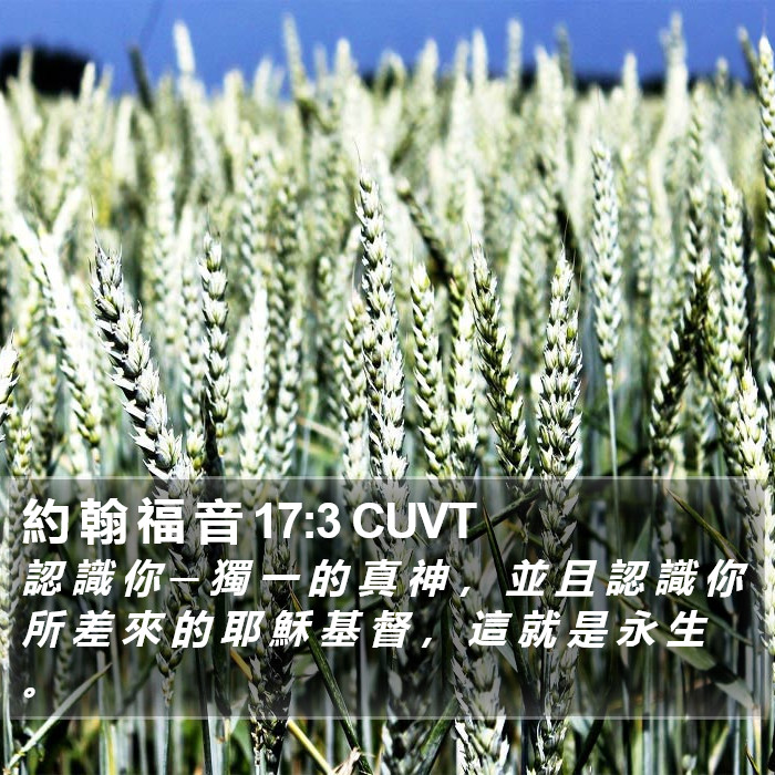 約 翰 福 音 17:3 CUVT Bible Study