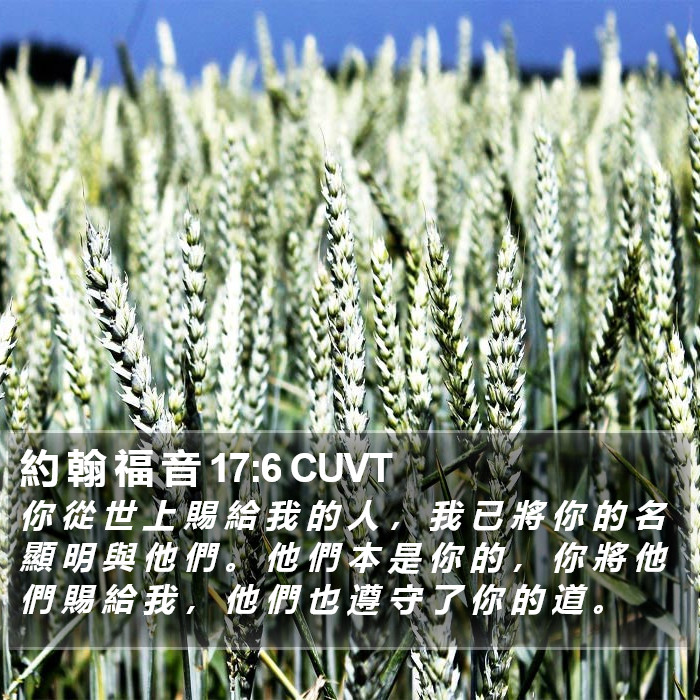 約 翰 福 音 17:6 CUVT Bible Study