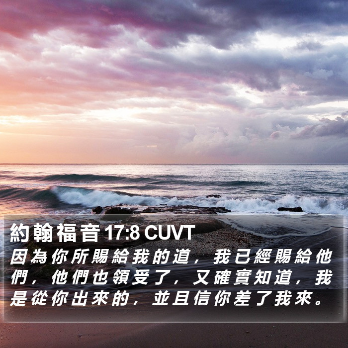 約 翰 福 音 17:8 CUVT Bible Study