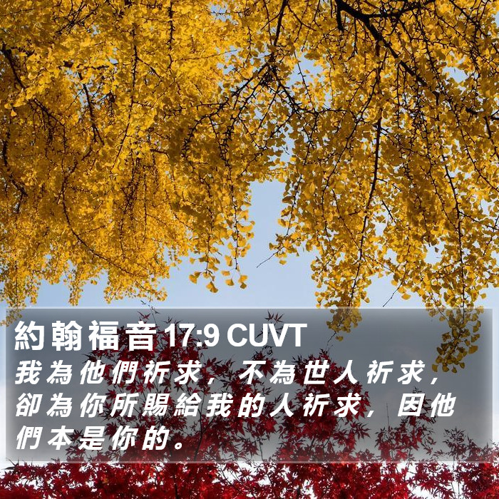 約 翰 福 音 17:9 CUVT Bible Study