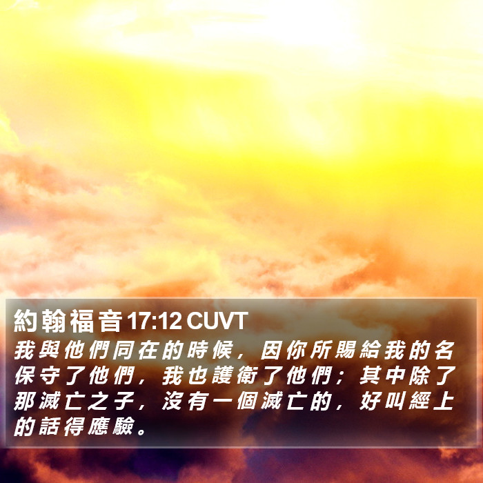 約 翰 福 音 17:12 CUVT Bible Study