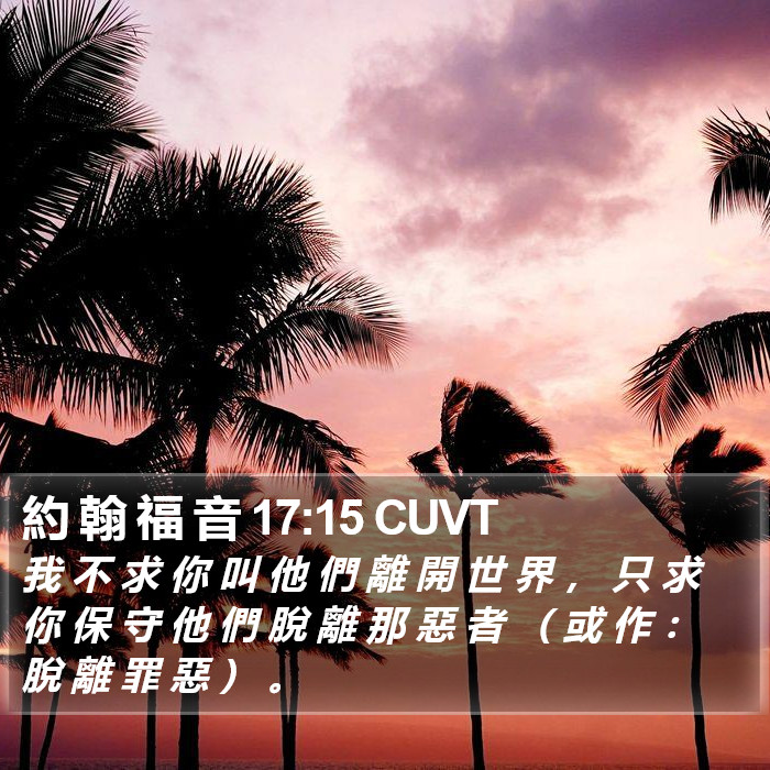 約 翰 福 音 17:15 CUVT Bible Study