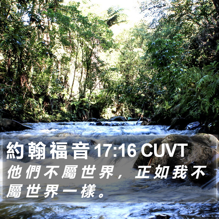 約 翰 福 音 17:16 CUVT Bible Study