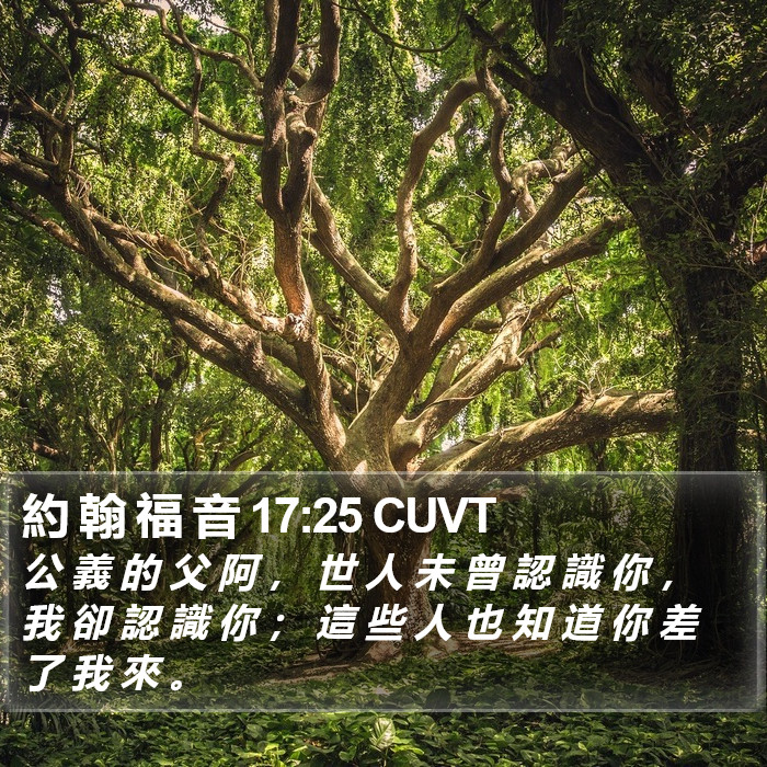 約 翰 福 音 17:25 CUVT Bible Study