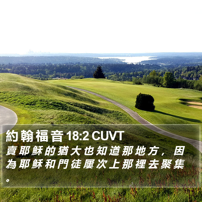 約 翰 福 音 18:2 CUVT Bible Study