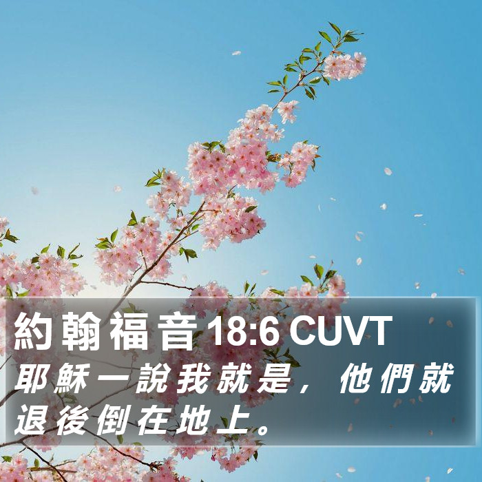 約 翰 福 音 18:6 CUVT Bible Study