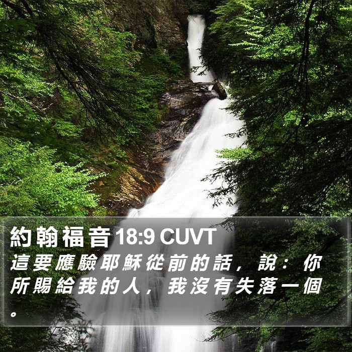 約 翰 福 音 18:9 CUVT Bible Study