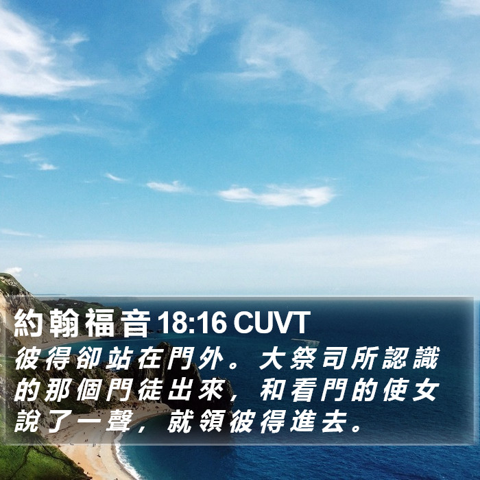 約 翰 福 音 18:16 CUVT Bible Study