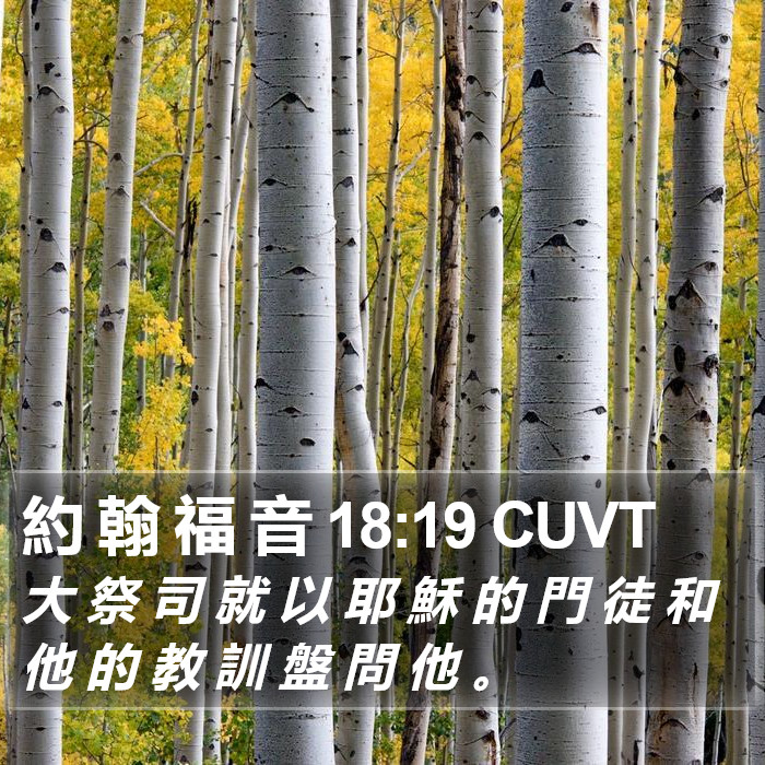 約 翰 福 音 18:19 CUVT Bible Study