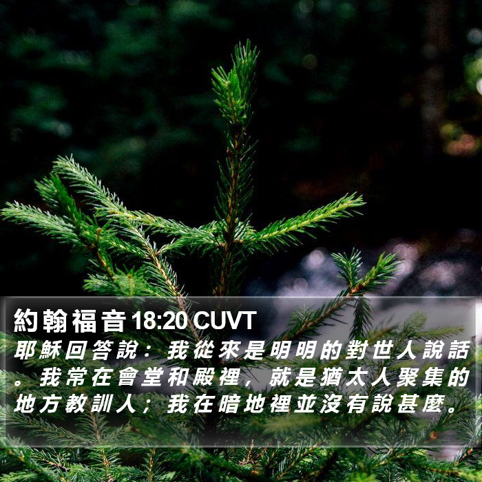 約 翰 福 音 18:20 CUVT Bible Study