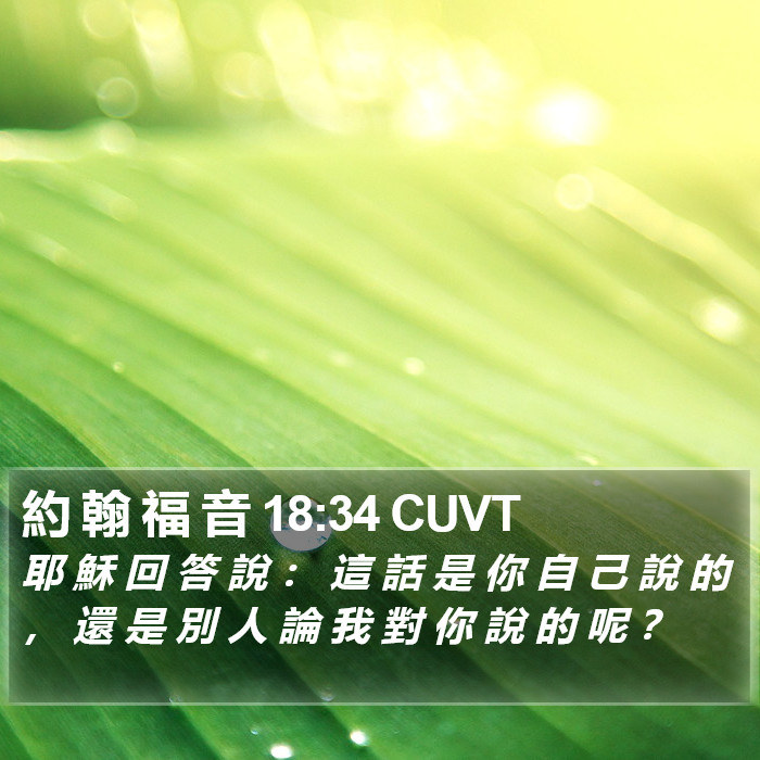 約 翰 福 音 18:34 CUVT Bible Study