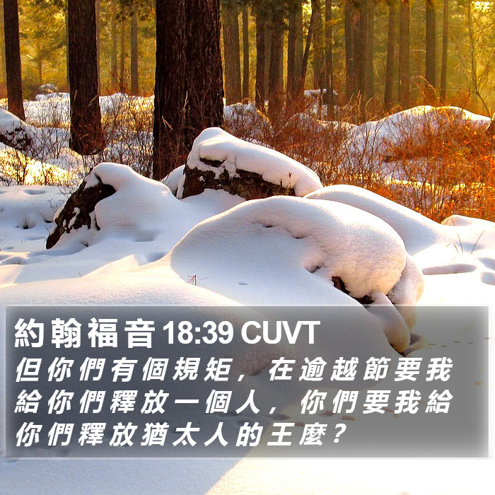 約 翰 福 音 18:39 CUVT Bible Study