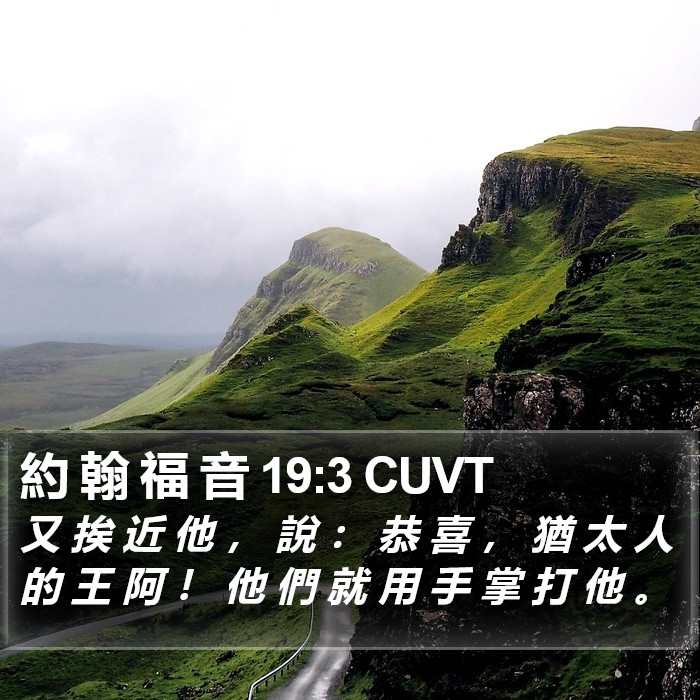 約 翰 福 音 19:3 CUVT Bible Study