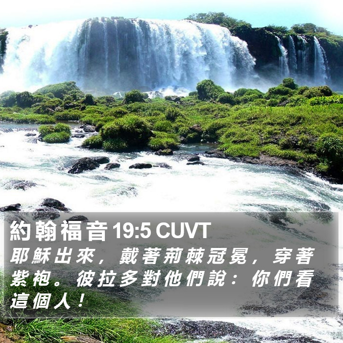 約 翰 福 音 19:5 CUVT Bible Study