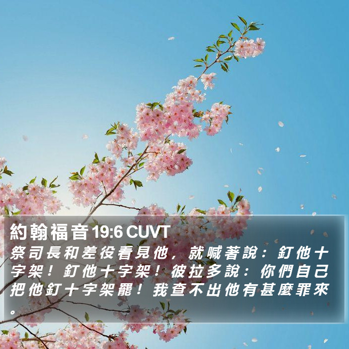 約 翰 福 音 19:6 CUVT Bible Study