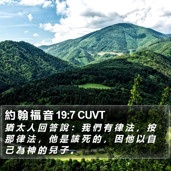 約 翰 福 音 19:7 CUVT Bible Study