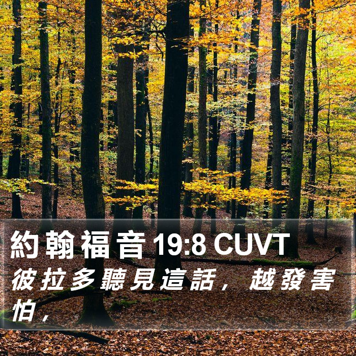 約 翰 福 音 19:8 CUVT Bible Study