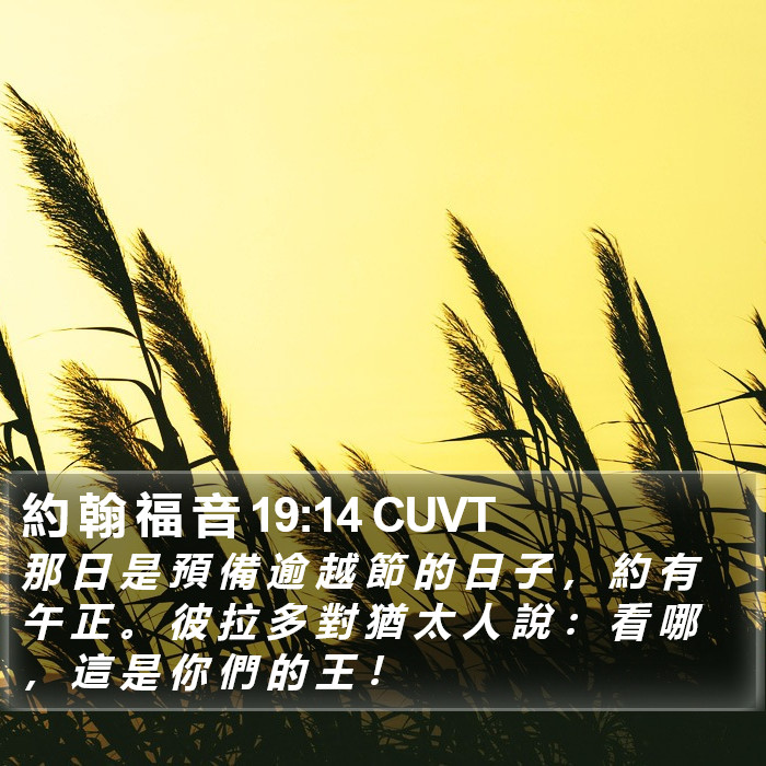 約 翰 福 音 19:14 CUVT Bible Study