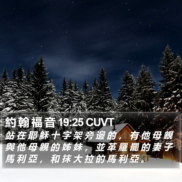 約 翰 福 音 19:25 CUVT Bible Study