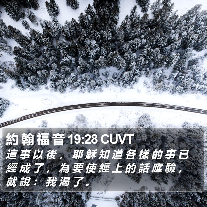 約 翰 福 音 19:28 CUVT Bible Study